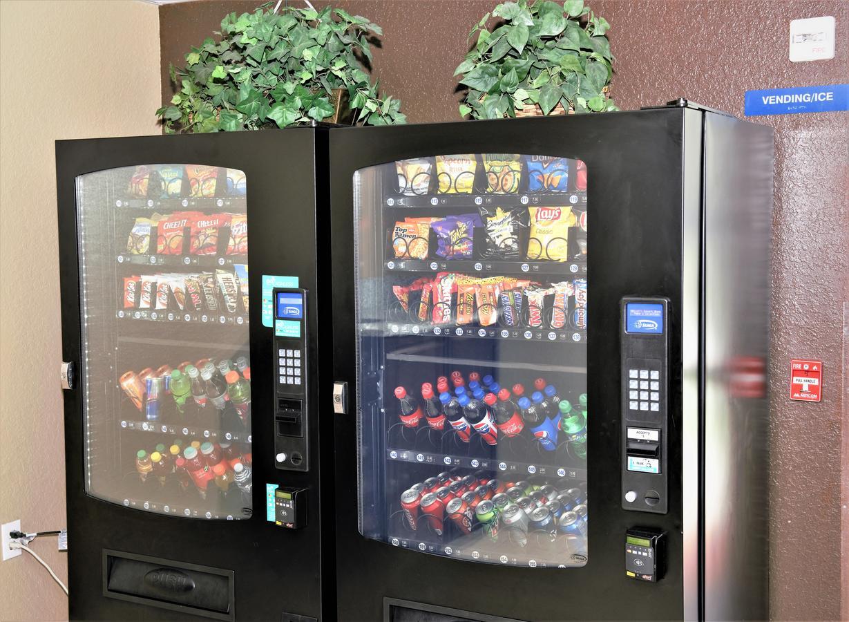 Microtel Inn & Suites By Wyndham Jacksonville Airport Esterno foto